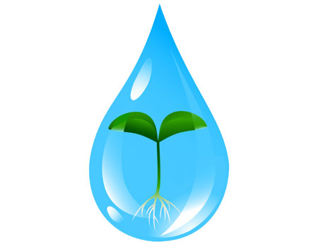 gota.jpg